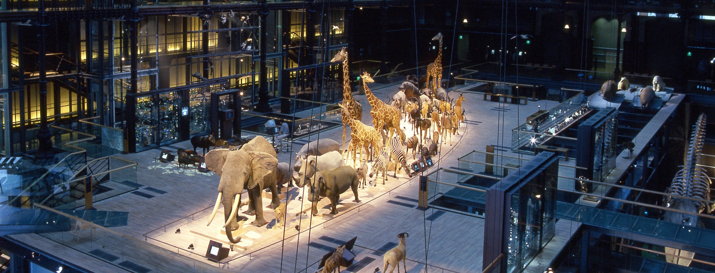 Grande Galerie de l'Evolution