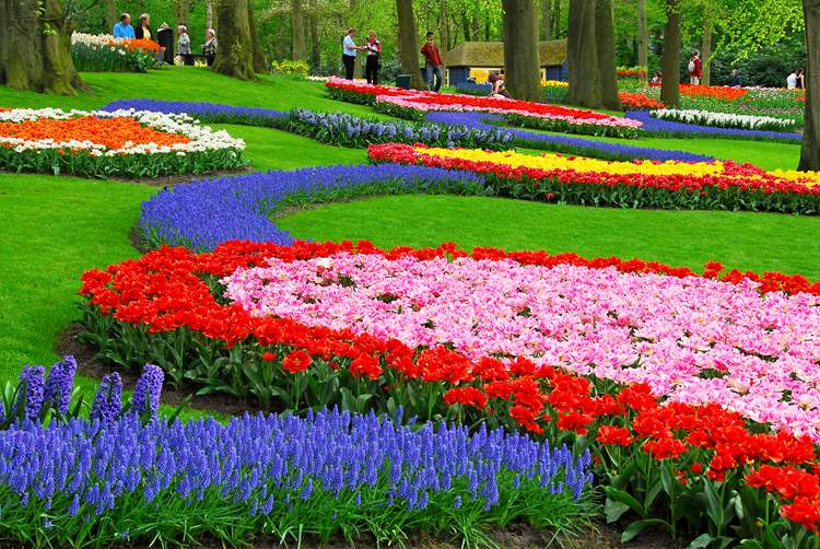 Taman Keukenhof Gardens in Netherlands