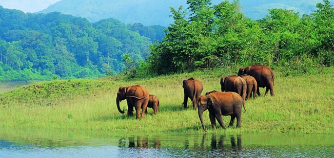 Periyar National Park and Wildlife Sanctuary, Madurai