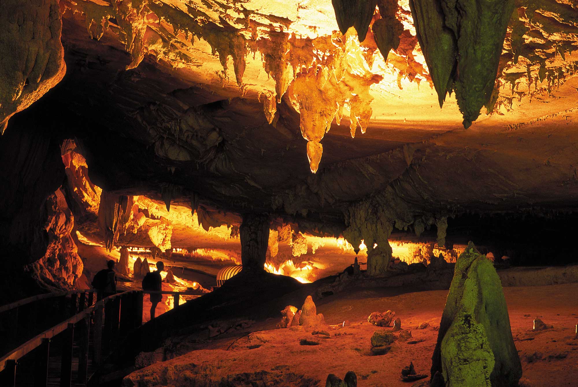 Mulu Caves in Malaysia