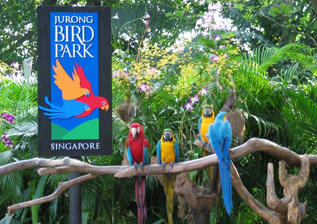 Jurong Bird Park - Gambar dan Foto Tempat Wisata Terbaik di Singapura