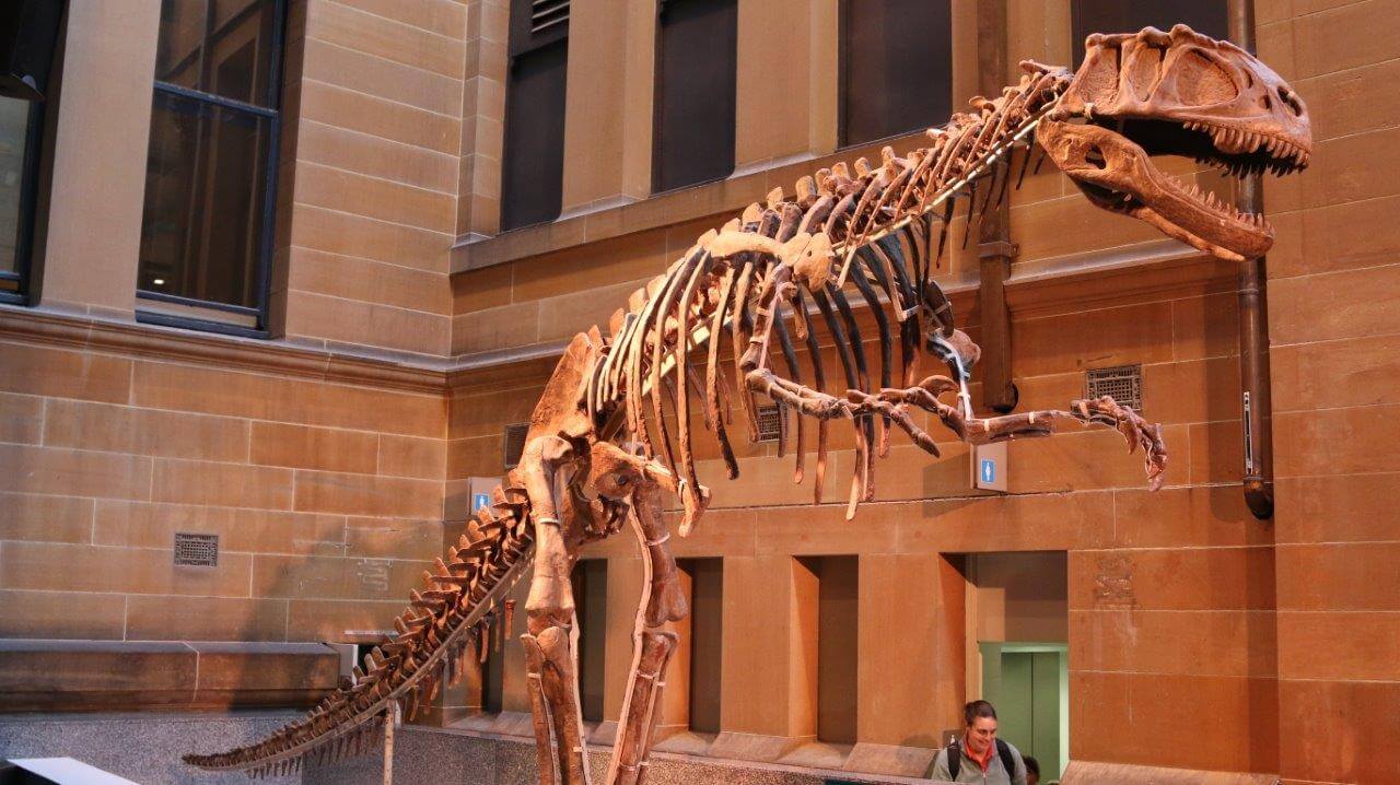 Tempat Wisata terbaik di Sydney Australia - Australian Museum