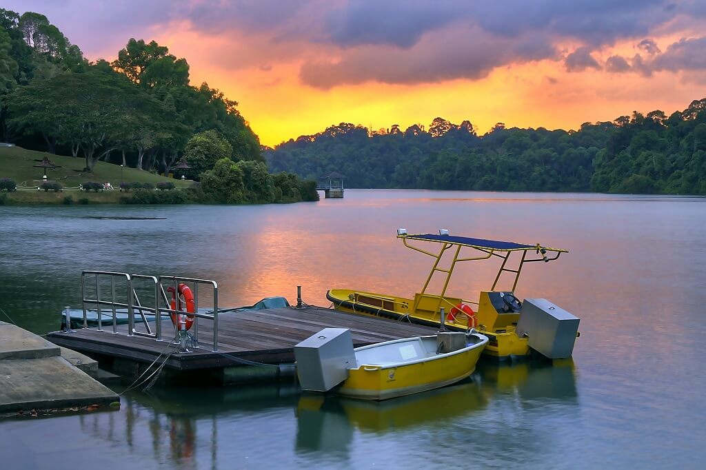MacRitchie Reservoir - Gambar dan Foto Tempat Wisata Terbaik di Singapura