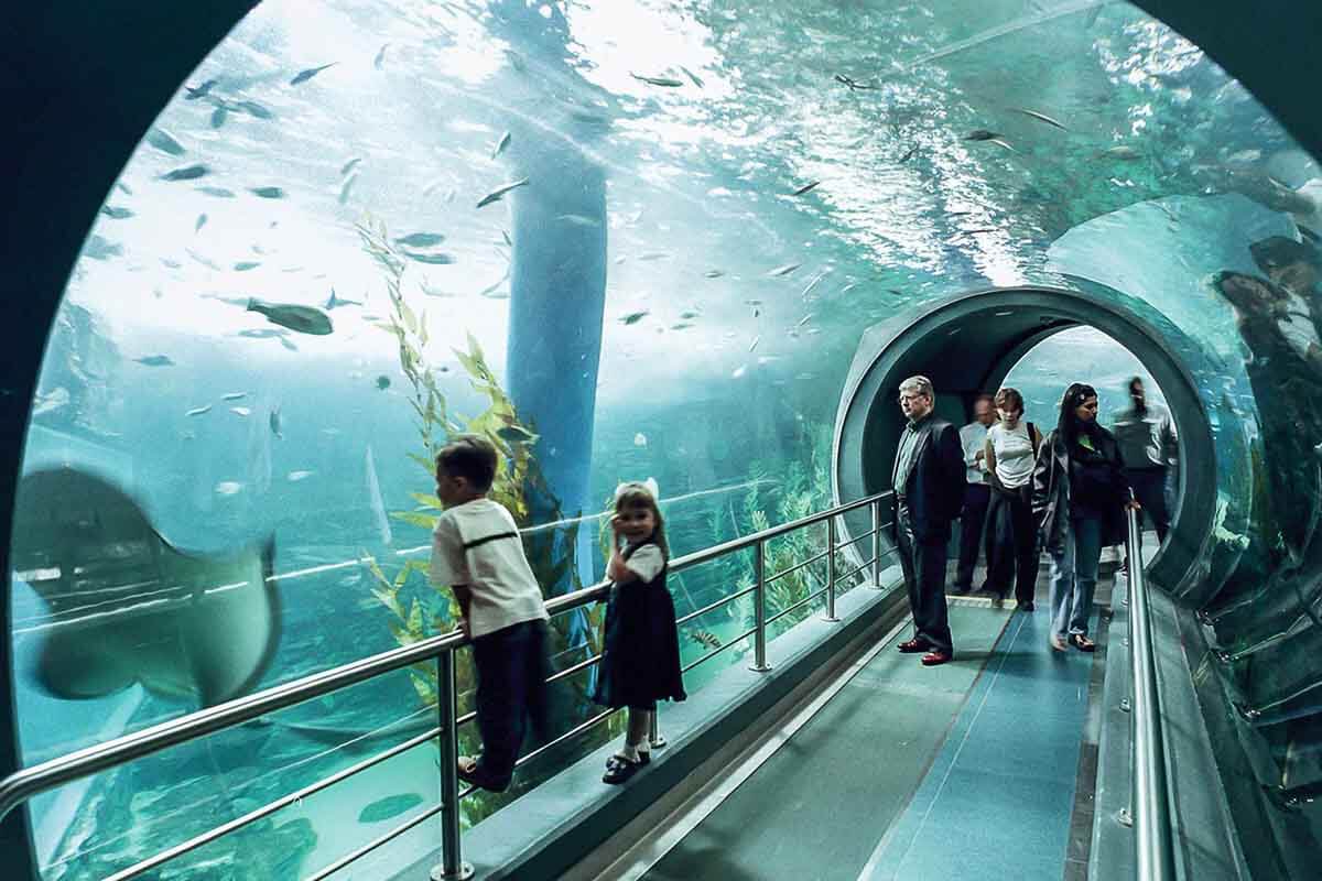 Tempat Wisata Terbaik di Melbourne - Melbourne Aquarium