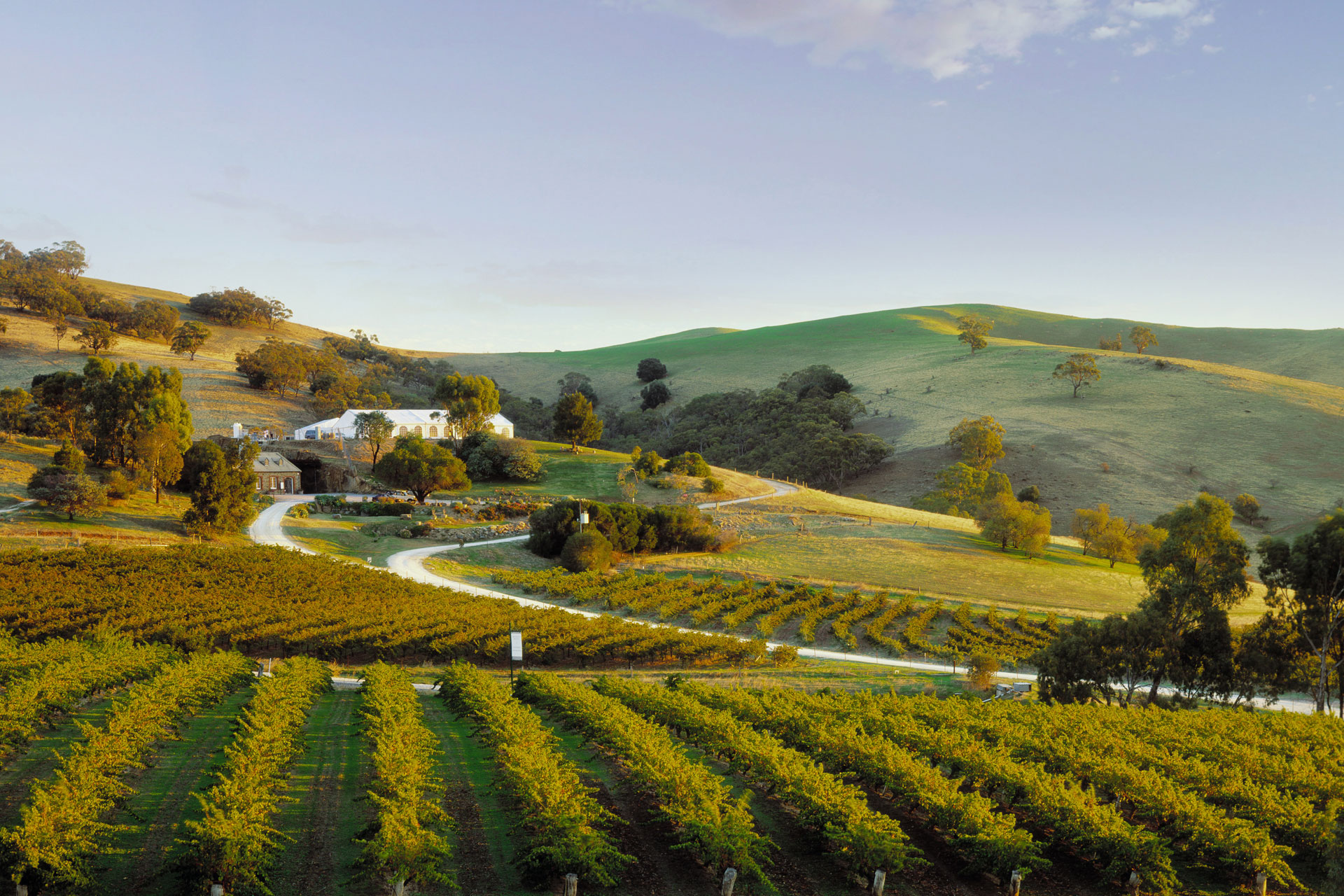 Tempat Wisata Terkenal di Adelaide - Barossa Valley Wineries