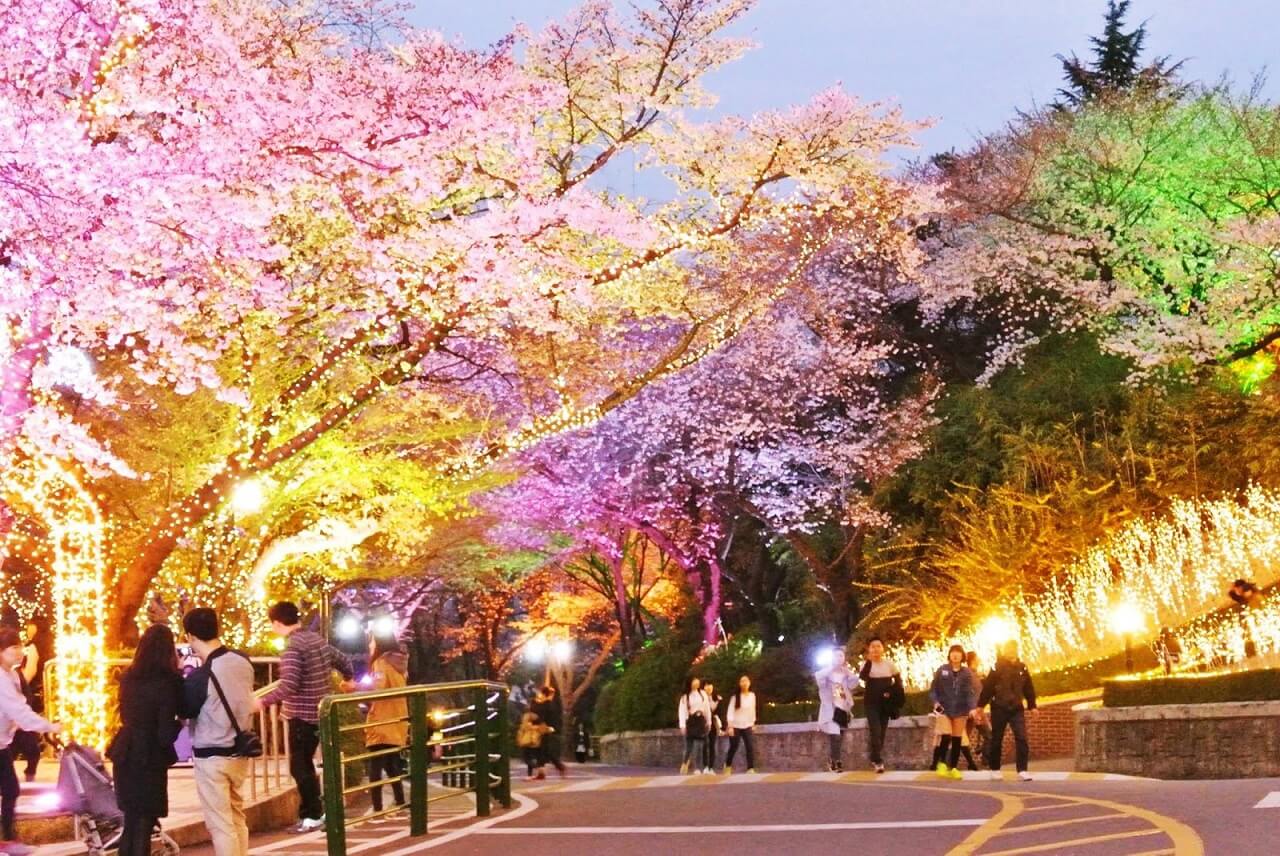 25 Tempat Wisata Terbaik di Seoul Korea Selatan 2021