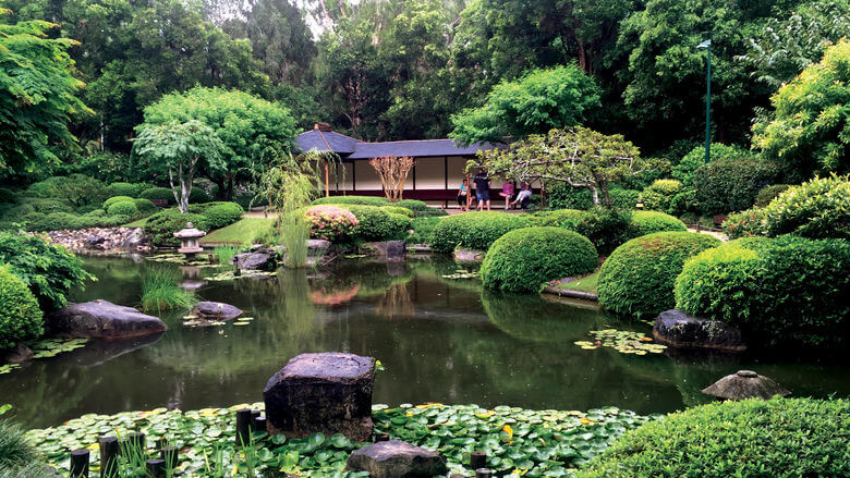 Botanical gardens Mt Coot-tha - Tempat Wisata Terbaik di Brisbane Australia