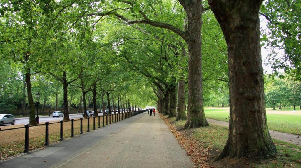 Top Tourist Attractions in London England - Green Park