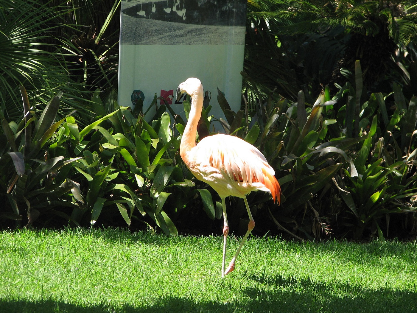 Adelaide's Famous Tourist Attractions - Adelaide Zoological Gardens