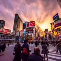 Tempat Wisata Terkenal di Tokyo - Shibuya Crossing