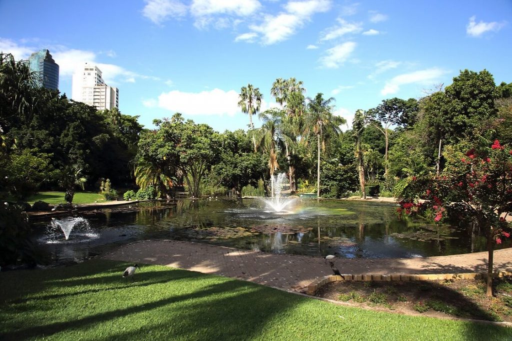 City Botanical Gardens - Top Tourist Attractions in Brisbane Australia