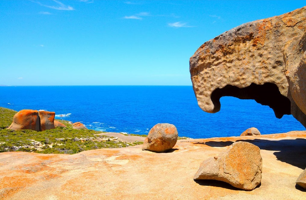 Tempat Wisata Terkenal di Adelaide - Kangaroo Island