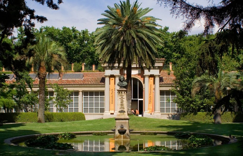 Real Jardín Botánico - Tempat Wisata Terbaik di Madrid Spanyol