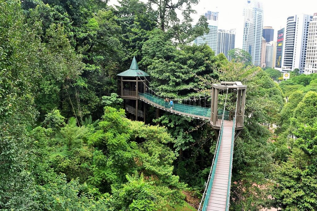 KL Forest Eco Park - Gambar dan Foto Tempat Wisata Terbaik di Kuala Lumpur Malaysia