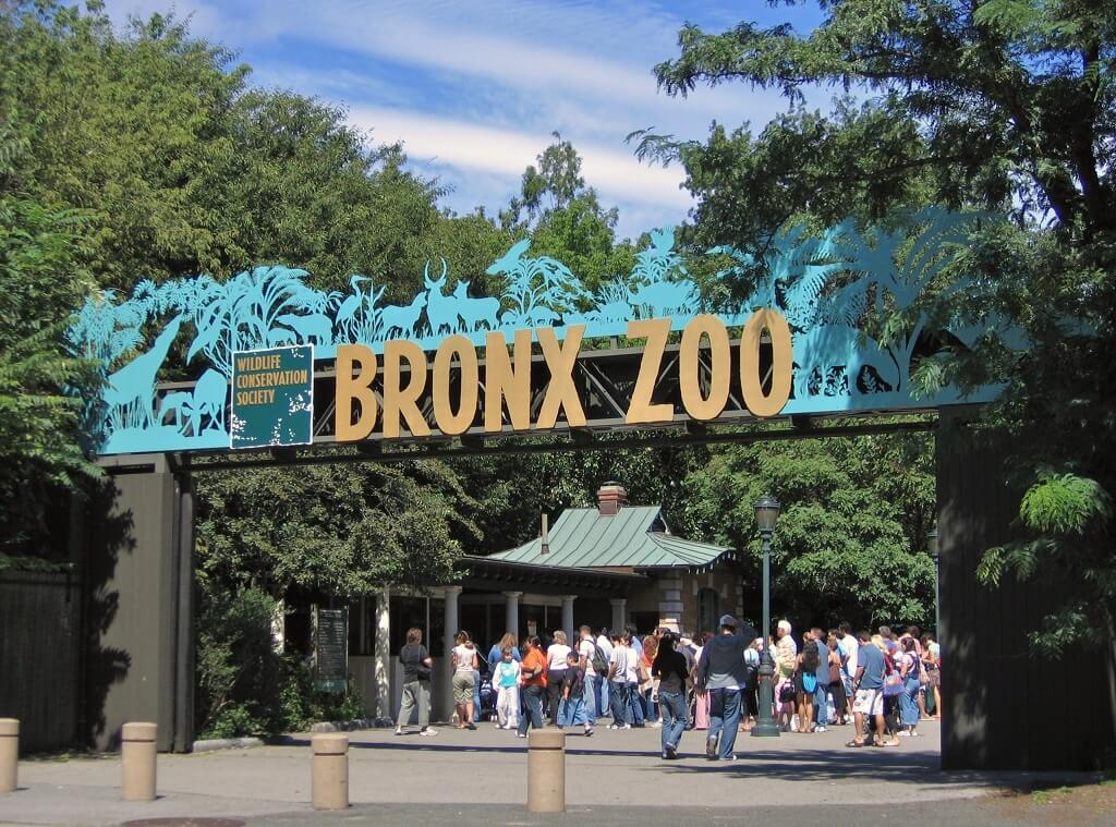 Bronx Zoo - Gambar dan Foto Tempat Wisata Terbaik di New York USA