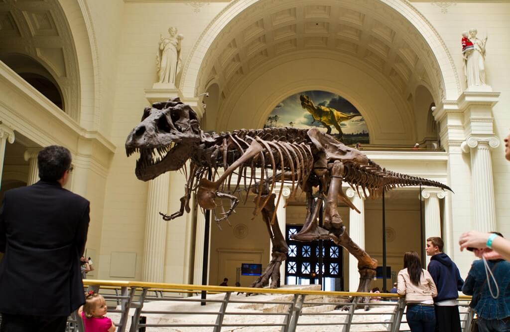Field Museum of Natural History - Gambar dan Foto Tempat Wisata Terbaik di Chicago USA