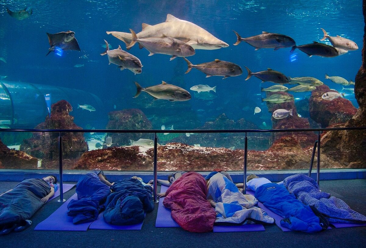 Aquarium Barcelona - Gambar Foto Tempat Wisata Terbaik di Barcelona Spanyol