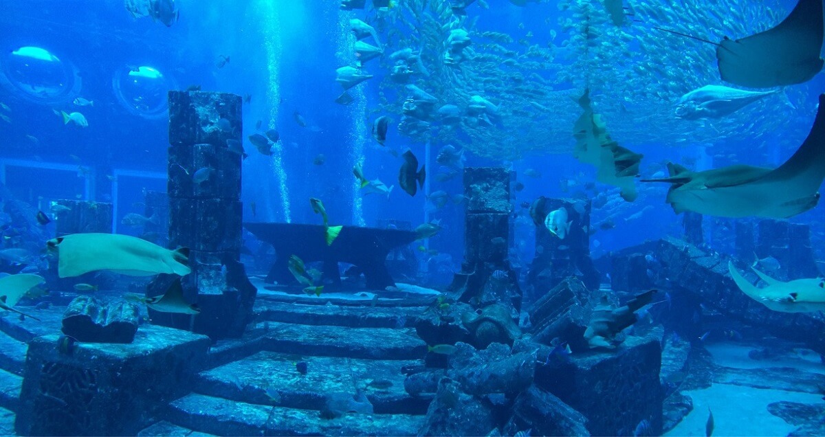 The Lost Chambers Aquarium - Gambar Foto Tempat Wisata Terbaik di Dubai
