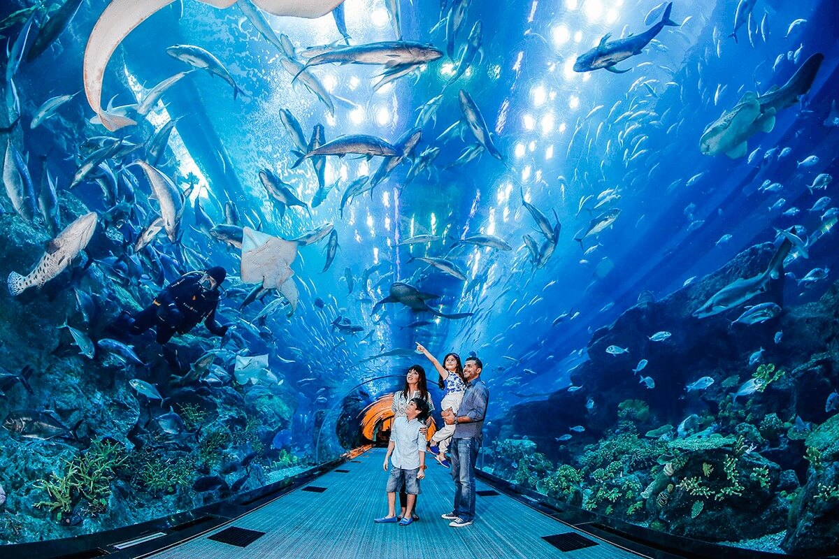 Dubai Aquarium & Underwater Zoo - Gambar Foto Tempat Wisata Terbaik di Dubai