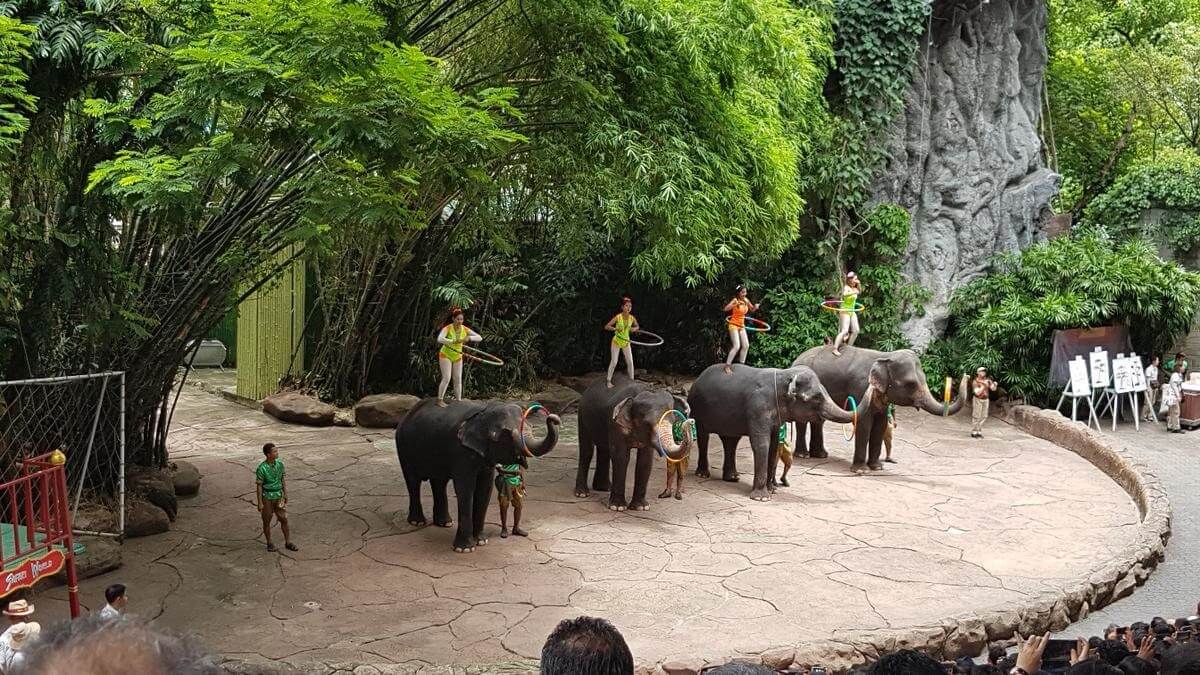 Safari World - Gambar Foto Tempat Wisata Terkenal di Bangkok Thailand