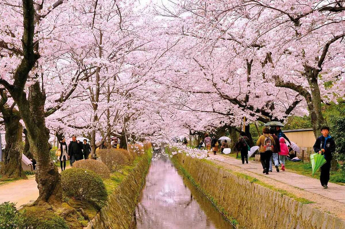 The Philosopher's Path - Tetsugaku no michi - Gambar Foto Tempat Wisata Terkenal di Kyoto Jepang