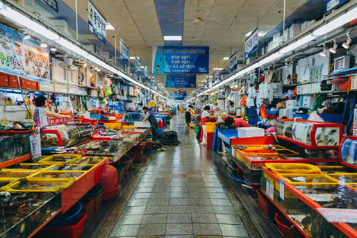 Jagalchi Market - Gambar Foto Tempat Wisata Terkenal di Busan Korea Selatan