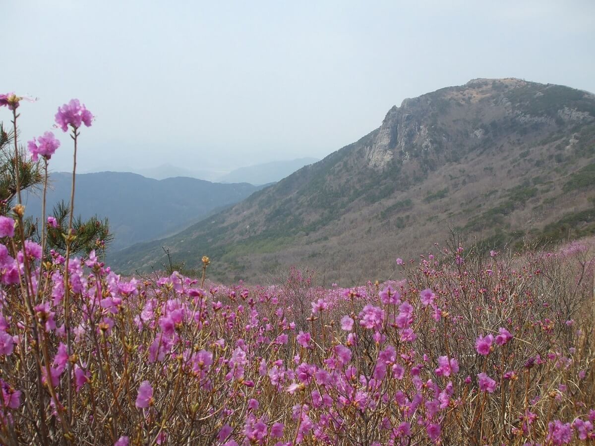 Biseulsan - Gambar Foto Tempat Wisata Terkenal di Daegu Korea Selatan