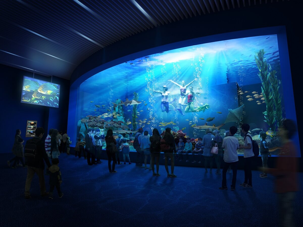 Alive Aquarium Daegu - Gambar Foto Tempat Wisata Terkenal di Daegu Korea Selatan