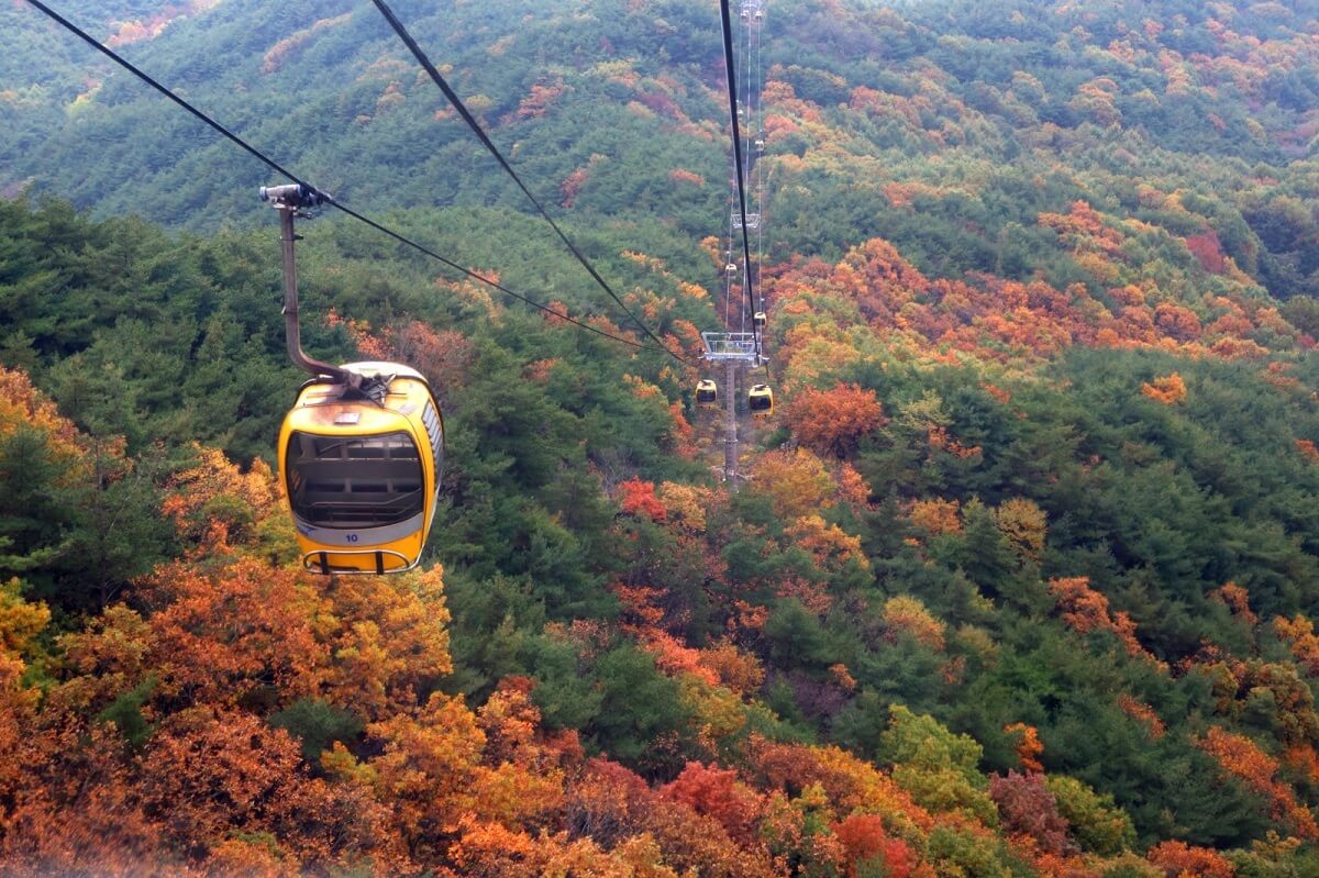 Palgongsan Cable Car - Gambar Foto Tempat Wisata Terkenal di Daegu Korea Selatan