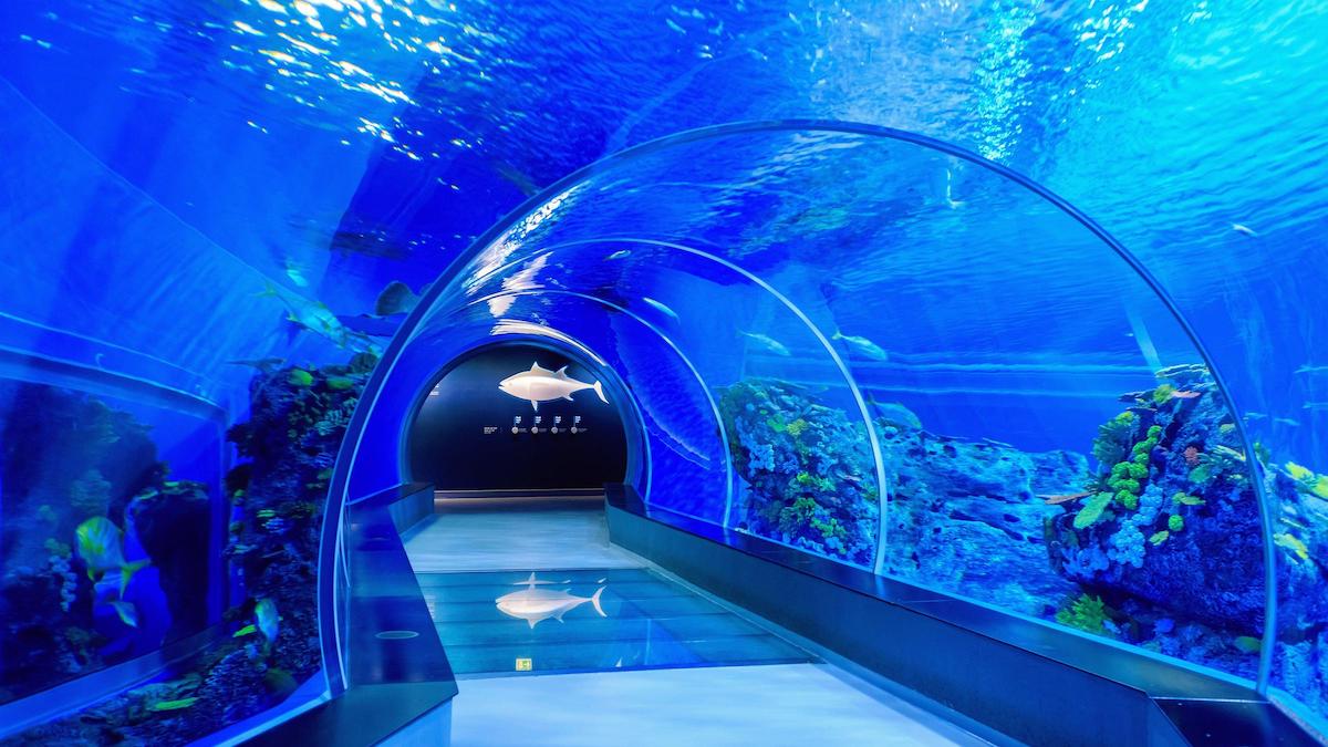 National Aquarium Denmark - Tempat Wisata Terkenal dan Favorit di Denmark