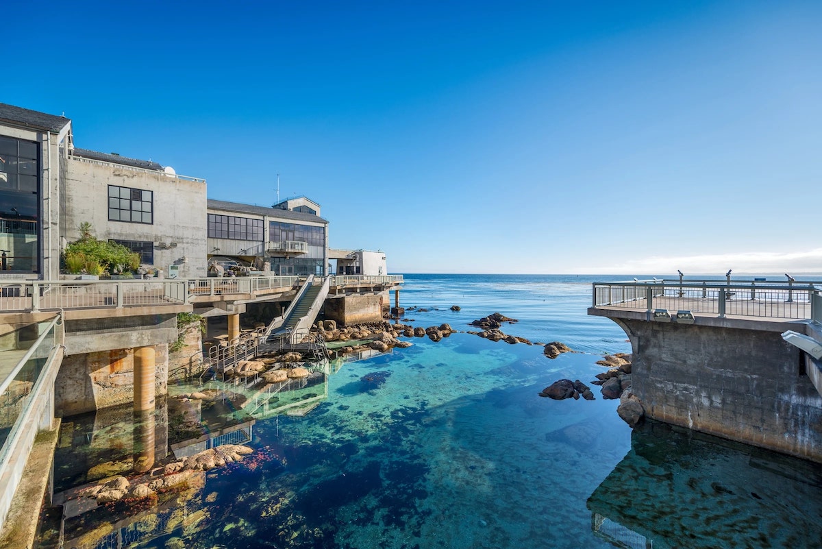 Monterey Bay Aquarium - Tempat Wisata Favorit dan Terkenal di California