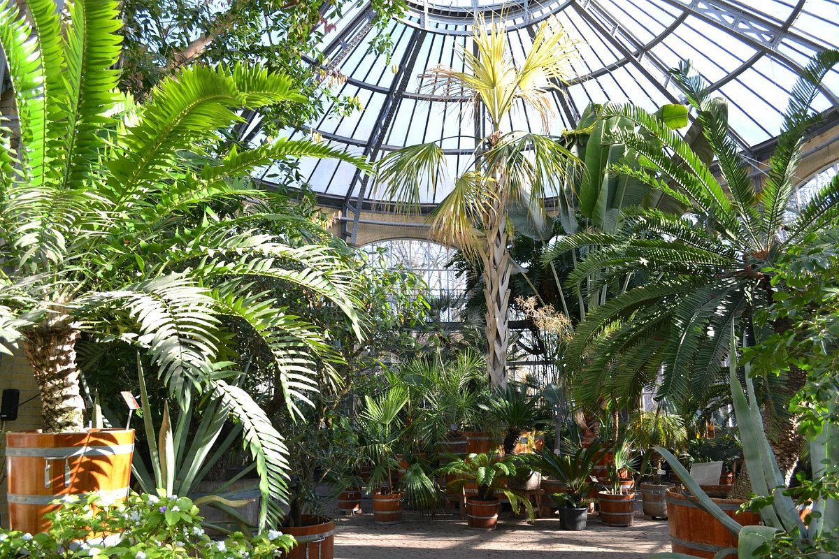 Hortus Botanicus Amsterdam - Tempat Wisata Favorit dan Terkenal di Amsterdam