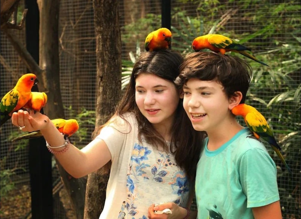 Phuket Bird Park - Tempat Wisata Favorit dan Terkenal di Phuket Thailand