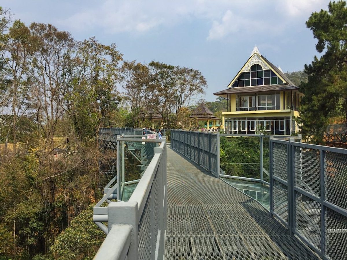 The Canopy Walks - Tempat Wisata Favorit dan Terkenal di Chiang Mai Thailand
