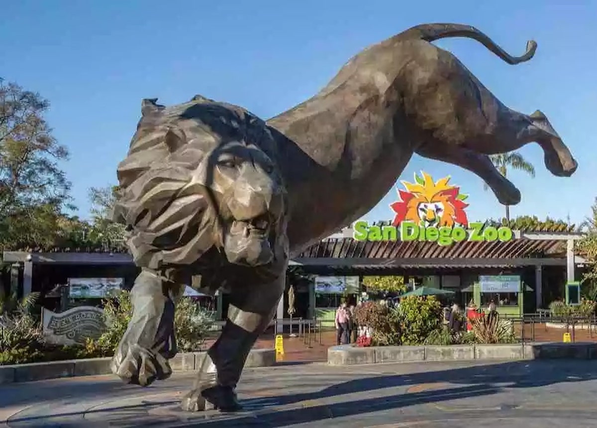San Diego Zoo - Tempat Wisata Favorit dan Terkenal di California
