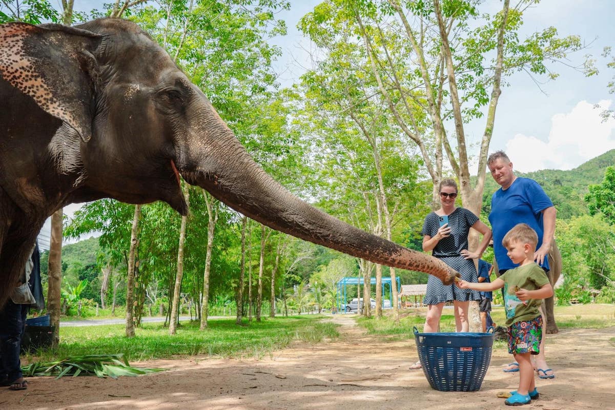 Green Elephant Sanctuary Park - Tempat Wisata Favorit dan Terkenal di Phuket Thailand