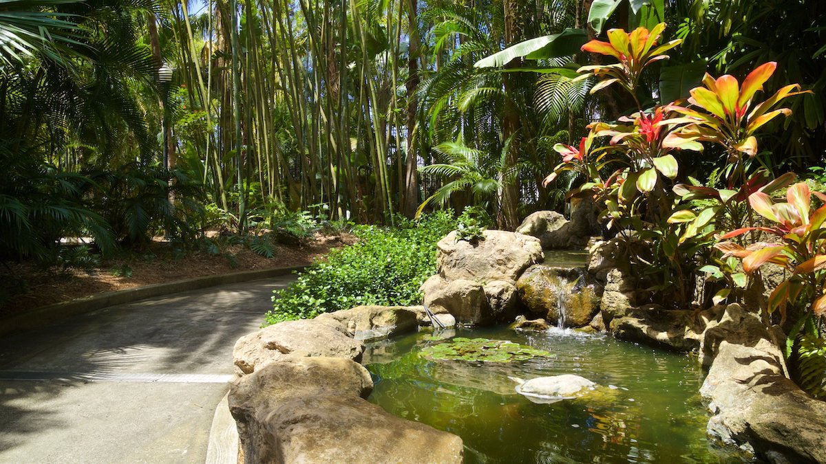 Sunken Gardens - Tempat Wisata Favorit dan Terkenal di Florida Amerika Serikat