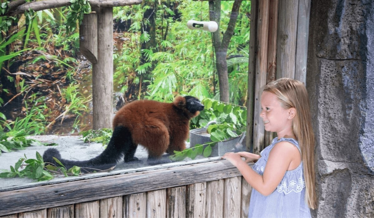 Naples Zoo at Caribbean Gardens - Tempat Wisata Favorit dan Terkenal di Florida Amerika Serikat