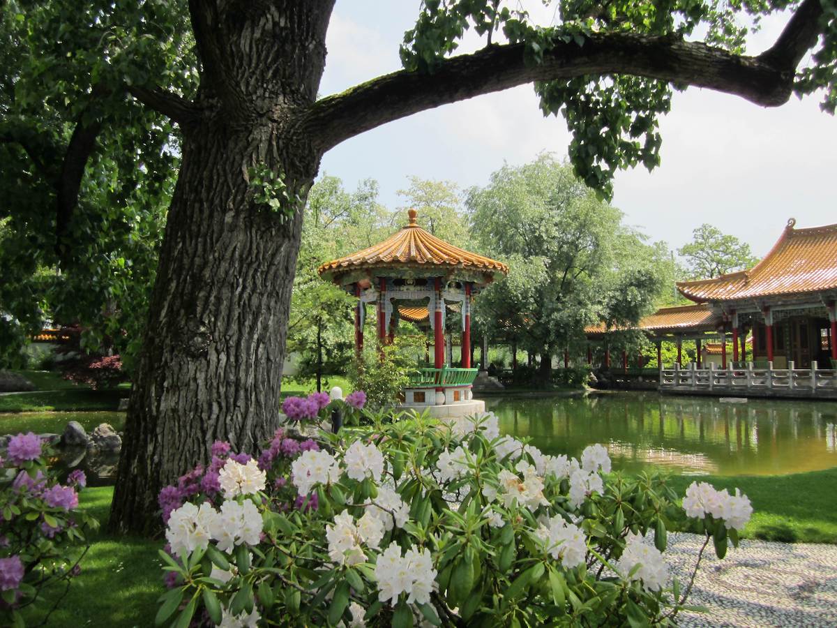 Chinagarten Zürich - Tempat Wisata Favorit dan Terkenal di Zurich Swiss