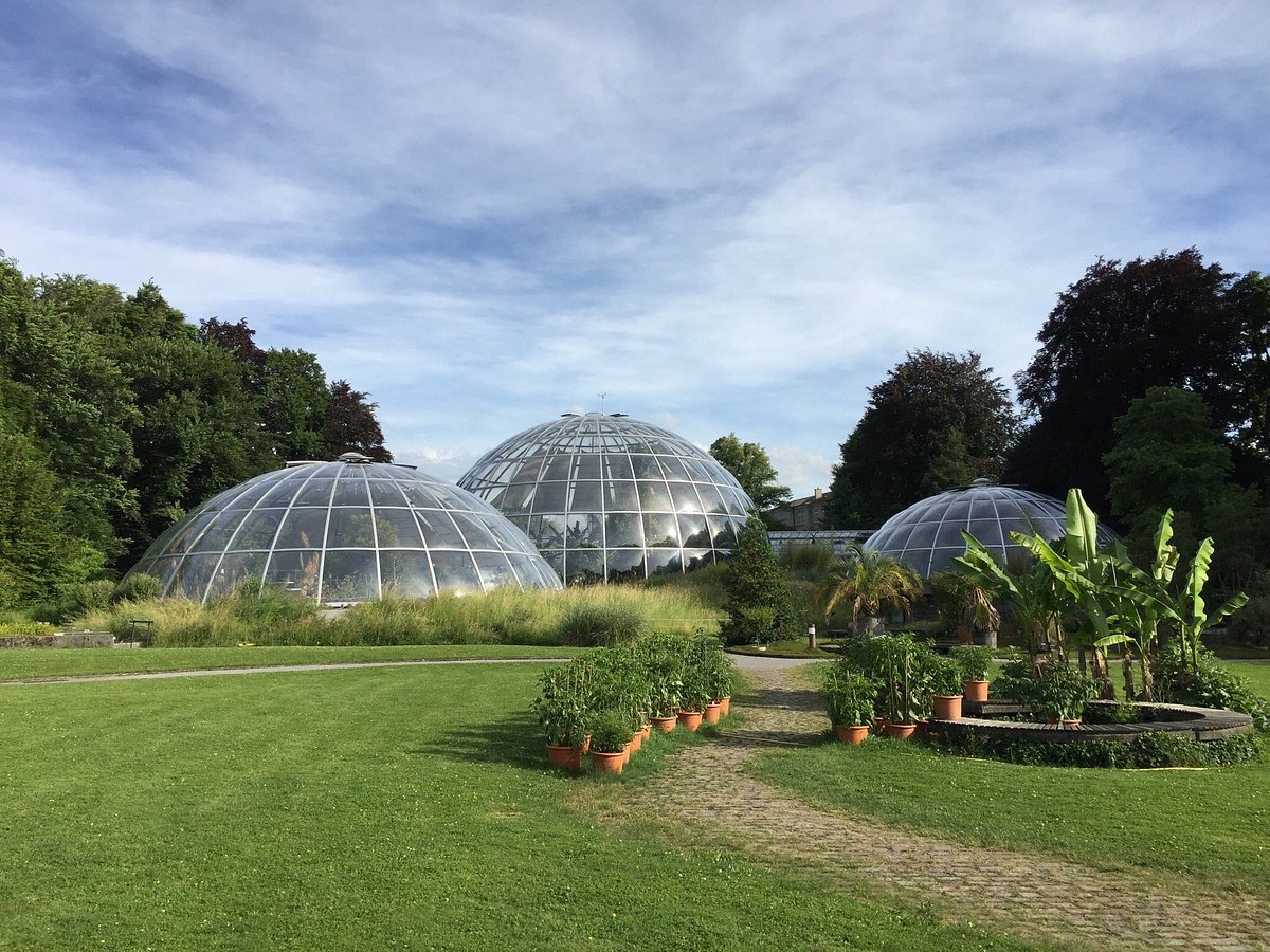 Botanical Garden - Tempat Wisata Favorit dan Terkenal di Zurich Swiss