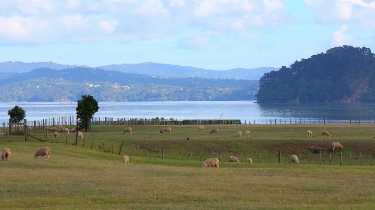 Ambury Regional Park - Tempat Wisata Favorit dan Terkenal di Auckland Selandia Baru