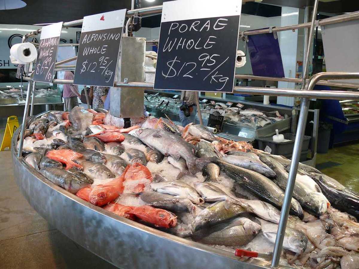 Auckland Fish Market - Tempat Wisata Favorit dan Terkenal di Auckland Selandia Baru