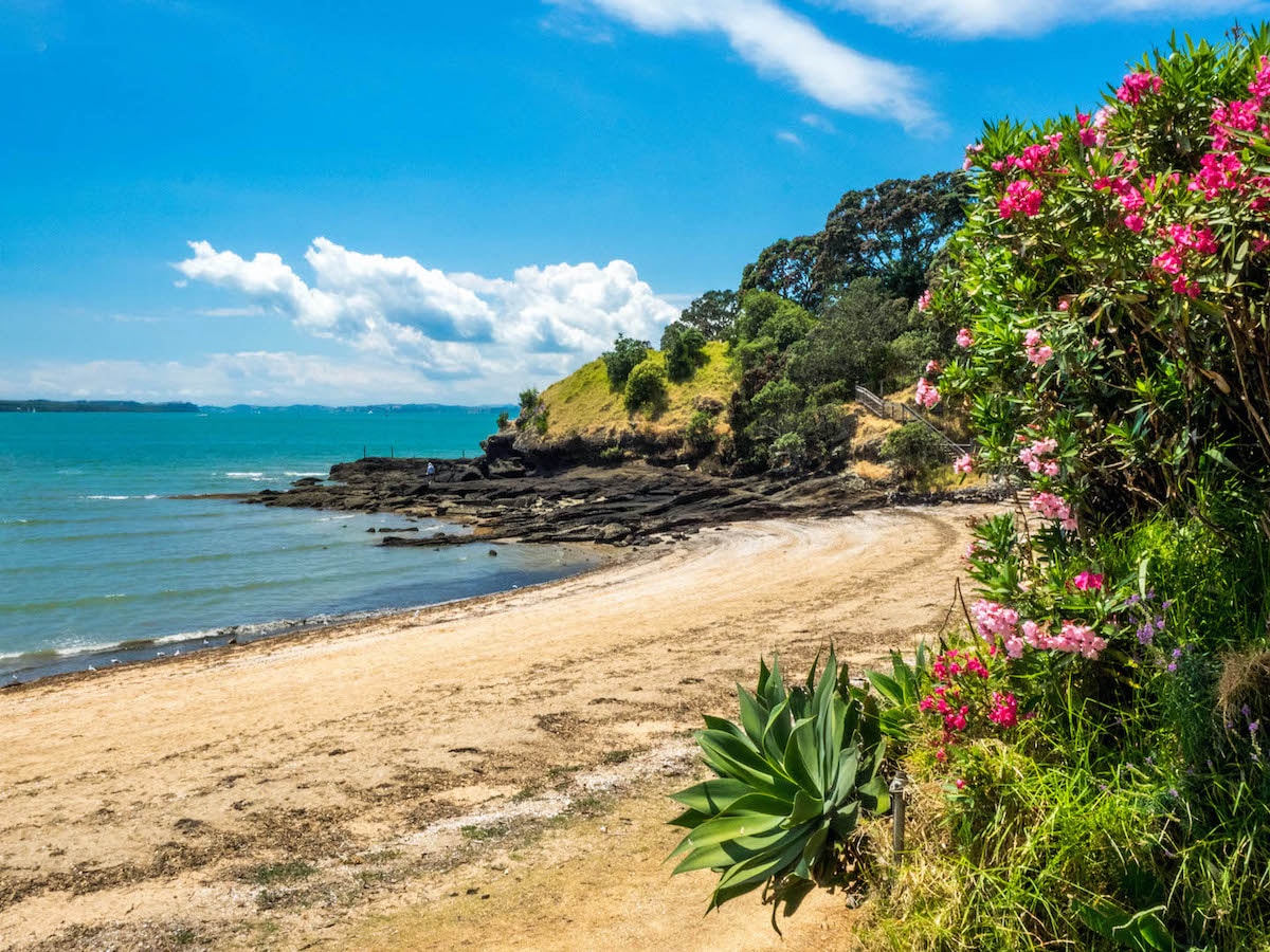 Cheltenham Beach - Tempat Wisata Favorit dan Terkenal di Auckland Selandia Baru