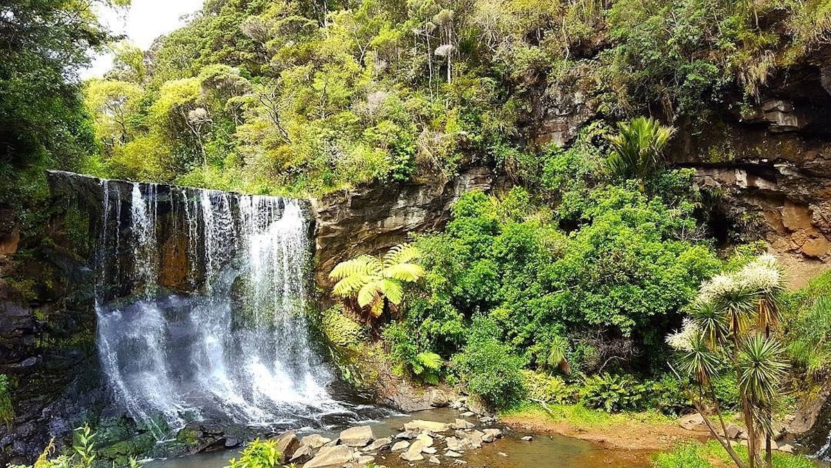 Mokoroa Falls - Tempat Wisata Favorit dan Terkenal di Auckland Selandia Baru