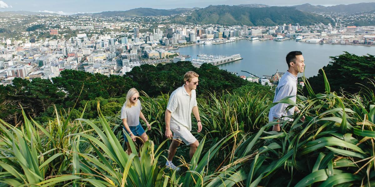 Mount Victoria Lookout - Tempat Wisata Favorit dan Terkenal di Wellington Selandia Baru