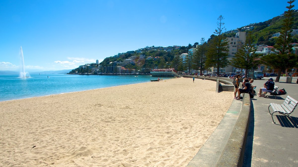 Oriental Bay Beach - Tempat Wisata Favorit dan Terkenal di Wellington Selandia Baru