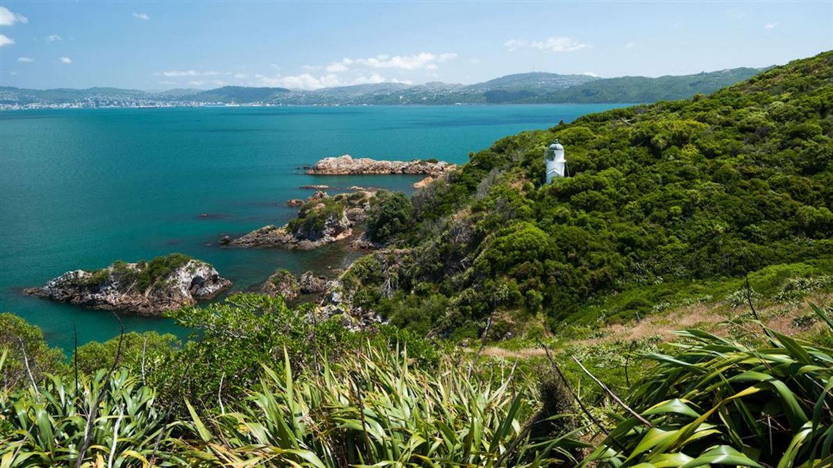 Matiu Somes Island - Tempat Wisata Favorit dan Terkenal di Wellington Selandia Baru