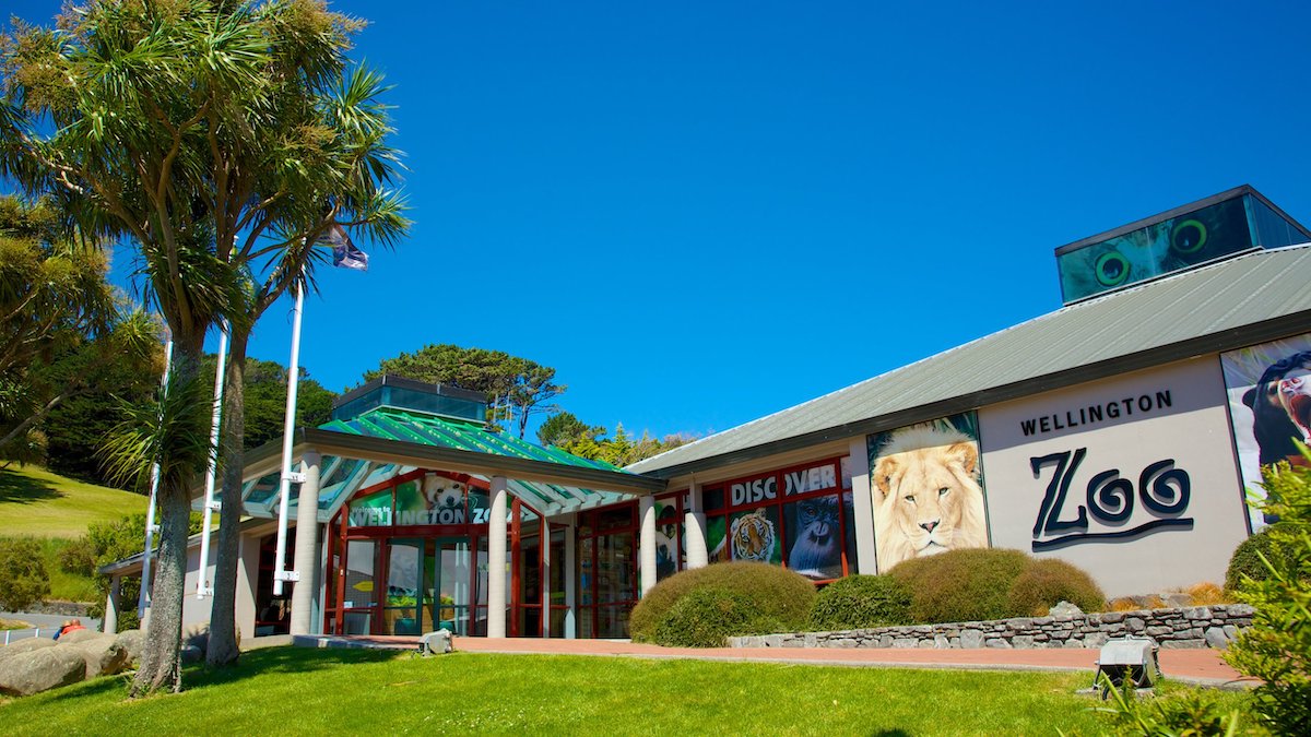 Wellington Zoo - Tempat Wisata Favorit dan Terkenal di Wellington Selandia Baru