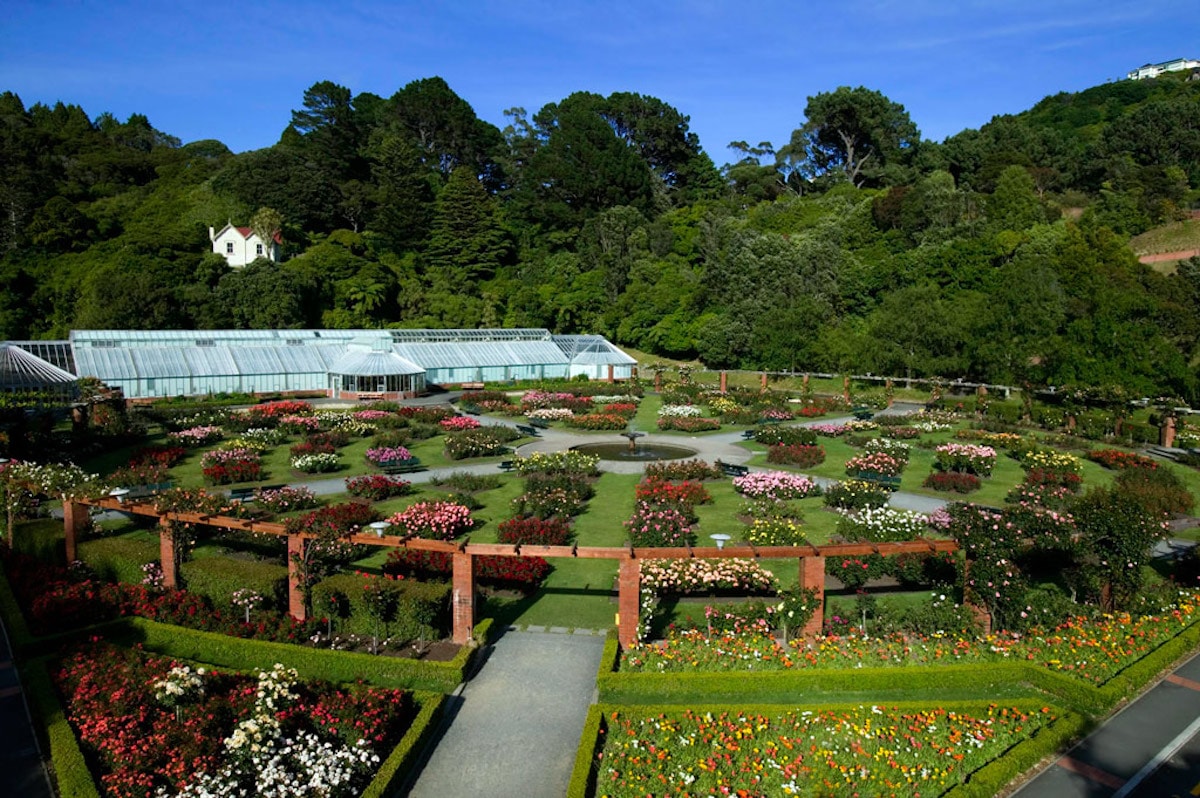 Wellington Botanical Garden - Tempat Wisata Favorit dan Terkenal di Wellington Selandia Baru